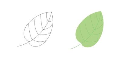 Single green leaf icon in outline and full color, great for ecology, botanical illustrations, environmental projects, nature logos, and garden graphics vector