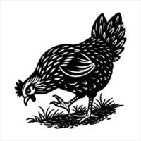 naturalistic of a chicken scratching vector