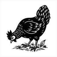 A naturalistic of a chicken scratching vector