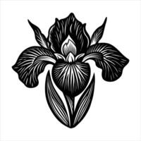 sketch an iris in black vector