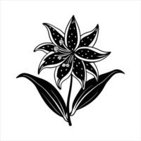 White Background Pink Lily vector