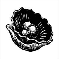Oysters Shells Rough Irregular vector