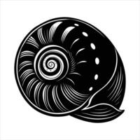 Moon Snail Shell vector