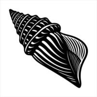 Cone Shell Vectors