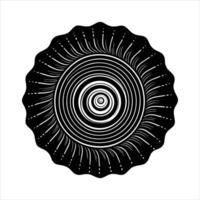 Spiral Shell Pattern vector
