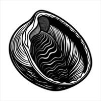 Shell with Iridescent Inside vector