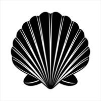 Scallop Shell Graphics vector