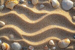 top view seashells lie on sunlit sand, design layout concept of summer vacation, resort with copy space photo