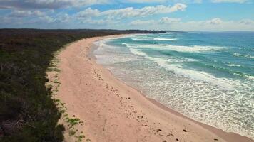 A breathtaking drone view of a pristine Australian ocean beach - turquoise waves with white foam meet golden sand dunes and coastal vegetation under vast blue skies video