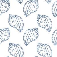 Shell patterns create a harmonious design of marine life on a clean background vector