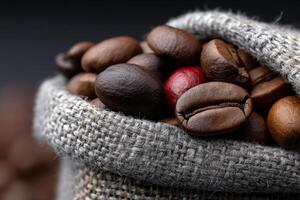 Freshly harvested coffee beans in a burlap sack close-up from a local farm photo