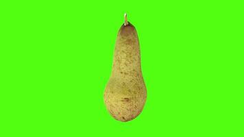 Pear isolated on green background video