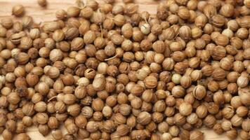 Coriander seeds, coriander peas, aromatic spice. Spice dried coriander seeds close-up. Seasoning for dishes, drinks and marinades. video