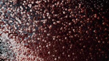 Minimalistic Abstract Red and Blue Particles Flowing in Dynamic Digital Gradient video