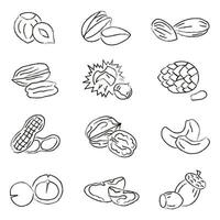Collection of different nuts with artistic brush strokes. Different nuts. Healthy eating concept. vector