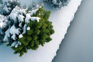 Snow-covered winter landscape featuring evergreen trees and a serene snowy pathway in a tranquil setting photo