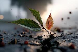 New life emerges from cracked pavement at sunrise in a quiet urban area photo
