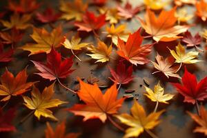Autumn leaves are arranged in a pattern on a table photo
