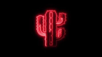 Glowing neon Cactus icon isolated on black background motion graphic animation video