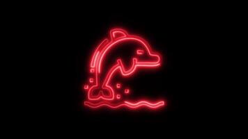 Glowing neon Dolphin icon isolated on black background motion graphic animation video
