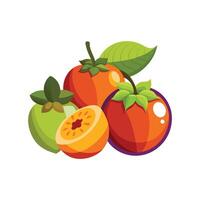 Colorful Mix of Fruits Apple, Plum, and Apricot with Green Leaves vector