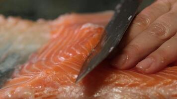 chef using fish fillet knife slicing fresh salmon meat on cutting board in restaurant, chef preparing healthy salmon menu video