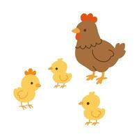 A cartoon of a chicken and three chicks. The chicken is standing in front of the chicks vector