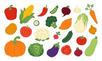 WebA collection of vegetables and fruits including tomatoes, cucumbers, carrots, and broccoli. The image has a bright and colorful mood, with a focus on healthy eating vector
