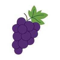 A purple grape with a green leaf on top. The grape is the main focus of the image vector