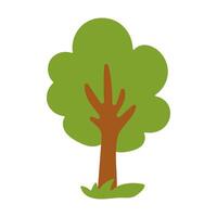 A cartoon tree with green leaves and brown trunk. The tree is standing in a grassy field vector