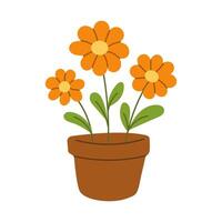 A cartoon drawing of a flower pot with three orange flowers in it. The flowers are in a small pot and are surrounded by green leaves. The image has a cheerful and bright mood vector