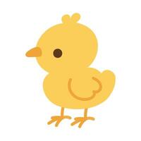 A cartoonish yellow chicken with a cute face stands on its two legs. The image is simple and playful, with a focus on the chicken's cute appearance vector