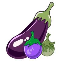 Eggplants of Different Sizes and Colors vector