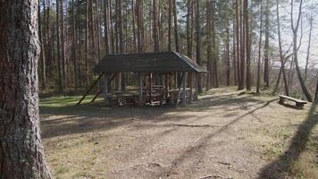 An empty tourist parking lot in the forest background video