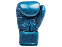Light Blue Boxing Glove png