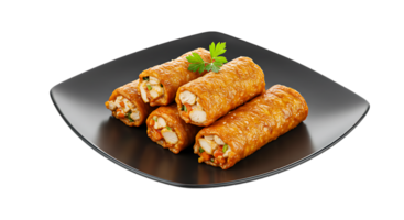 chicken roll up on black plate with parsley png
