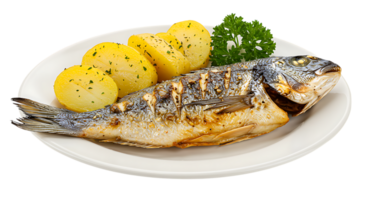 a grilled fish with potatoes and parsley on a plate png