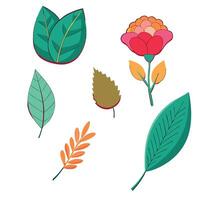 A set of colorful leaves and flowers vector