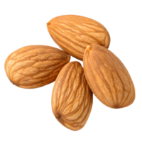 Four Whole Almonds with Detailed Texture Isolated on Transparent Background png
