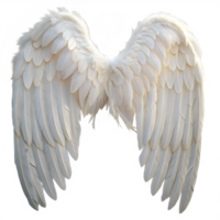 Pair of Realistic White Angel Wings Isolated on Transparent Background png