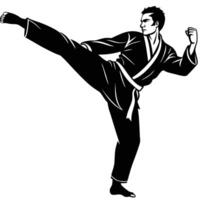 Silhouette Asian Man in Gi Performs a High Kick on a White Background vector