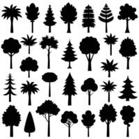 Assorted Forest Tree Silhouettes Diverse Trees Set on Transparent Background vector