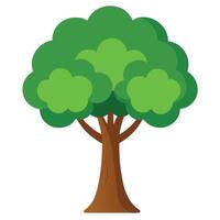 Simple Cartoon Tree With Green Leaves and Brown Trunk Isolated on White vector