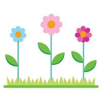 Three Colorful Flowers Growing in Green Grass Patch on White Background vector