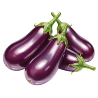 A group of three vibrant purple eggplants with green stems on a plain isolated simple background transparent background png