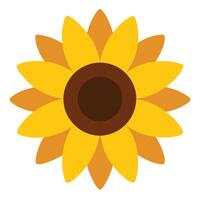 Sunflower Flat Design With Yellow Petals And Brown Center On White vector