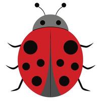 Ladybug with Red Shell and Black Spots on White Background vector