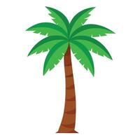 Isolated Coconut Palm Tree With Green Leaves on White Background vector