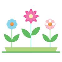 Three flowers with green stems and leaves in a light green pot vector