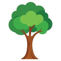 Isolated cartoonstyle tree with green foliage and brown trunk on white space vector